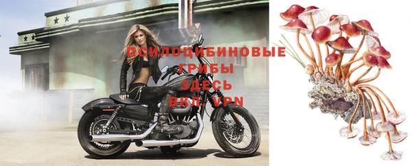 МДМА Абаза